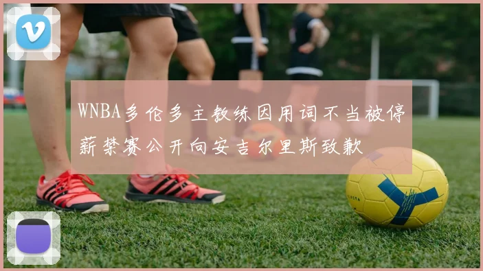 WNBA多伦多主教练因用词不当被停薪禁赛公开向安吉尔里斯致歉
